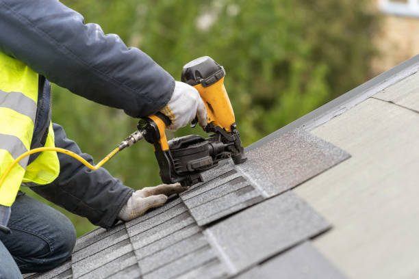 Best Roof Moss and Algae Removal  in Watford City, ND